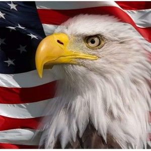 Meet your Posher, Usflip